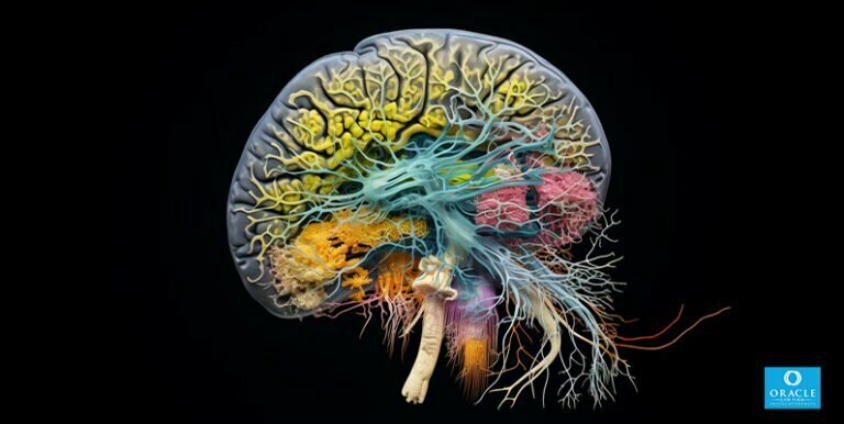 Brain Injury Attorney