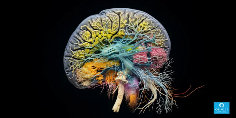 Brain Injury Attorney